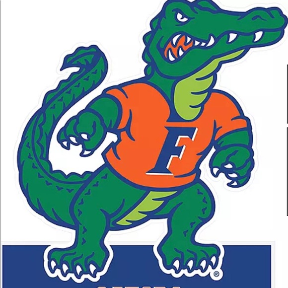 University of Florida UF Gators Halter Sports Bra NWT - Picture 6 of 13